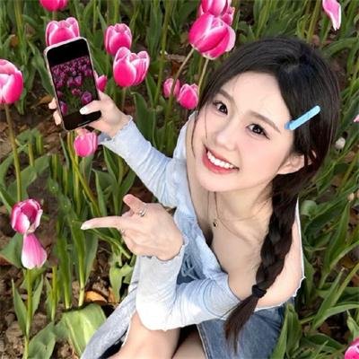 双重追击